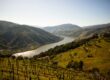 northern portugal weddings